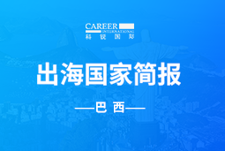 维多利亚老品牌VICGO GLOBAL | 巴西国家简报